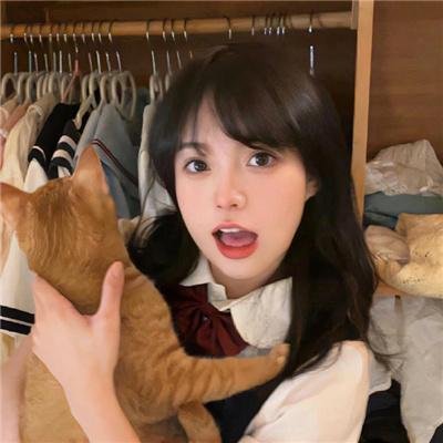 猎豹出击